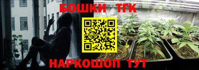 дмт Краснодар