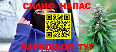 ешки Краснознаменск