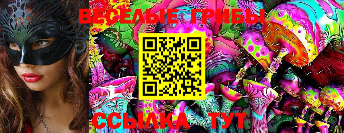 Юрга  Псилоцибиновые грибы Cubensis  Галлюциногенные грибы MAGIC MUSHROOMS  Вход с VPN 