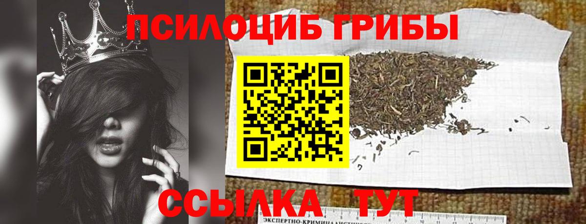 Галлюциногенные грибы MAGIC MUSHROOMS Юрга